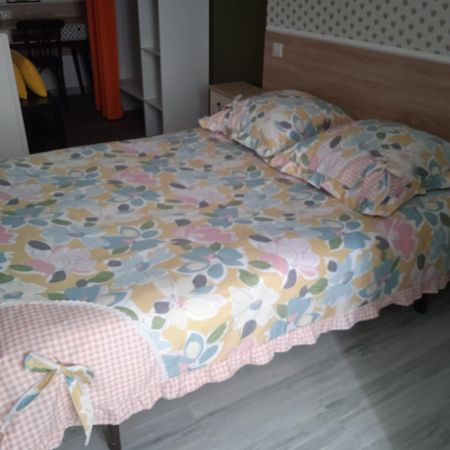 Hotel Sainte Therese Lourdes Bagian luar foto