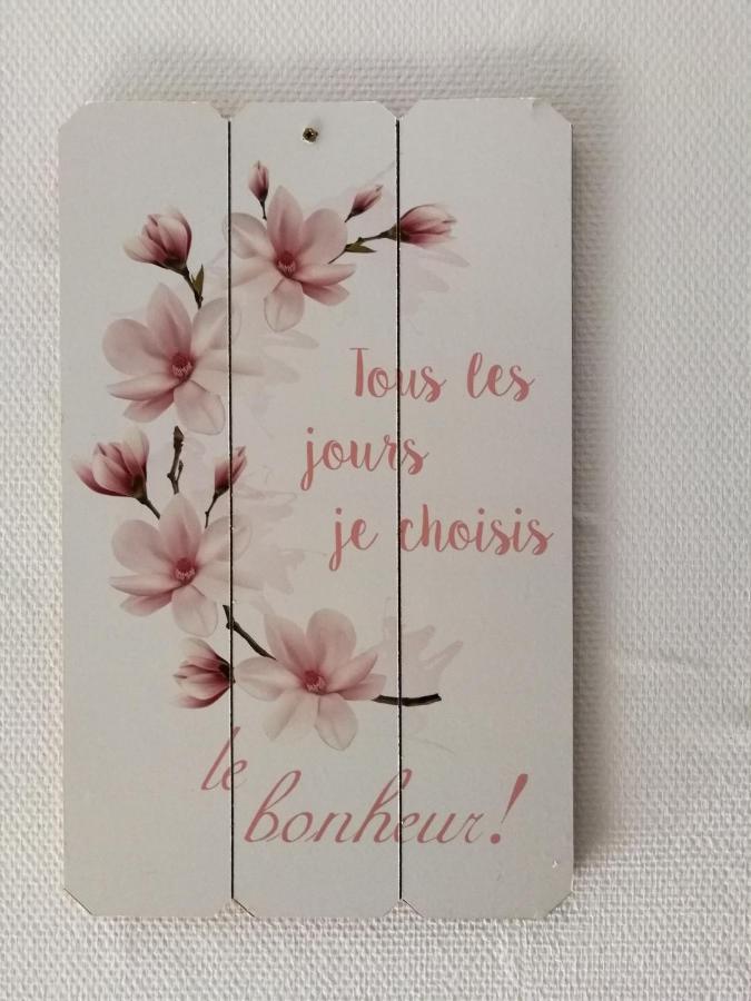 Hotel Sainte Therese Lourdes Bagian luar foto