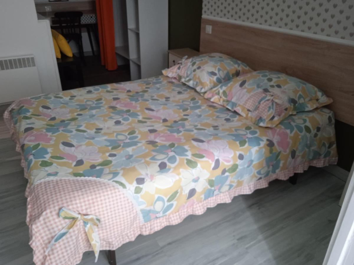 Hotel Sainte Therese Lourdes Bagian luar foto